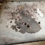 Cforcar Facel Vega Restoration 1 805